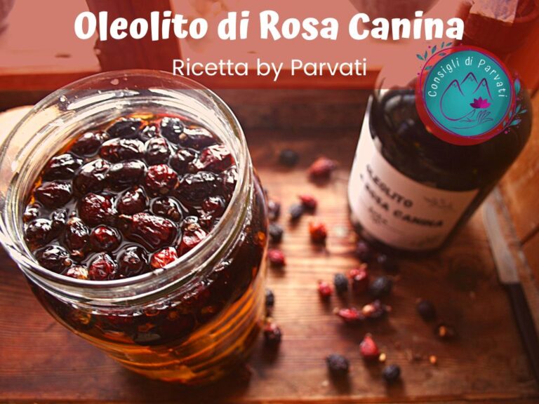 Oleolito alla Rosa Canina Ricetta by Parvati
