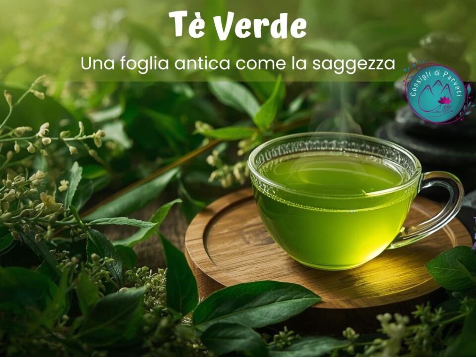 Tè Verde: Una foglia antica come la saggezza